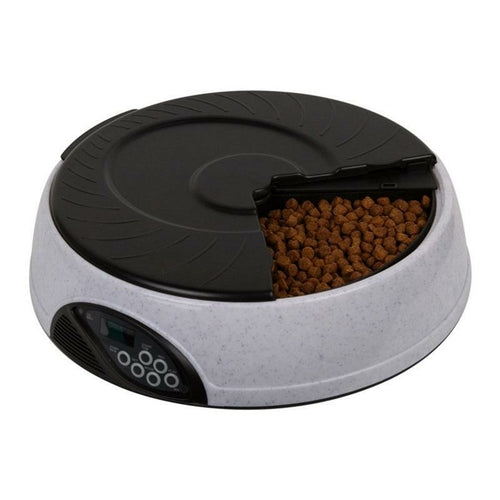 Maroon Asteria pet automatic feeding machine with digital controls and food hopper for easy automatic pet feeding