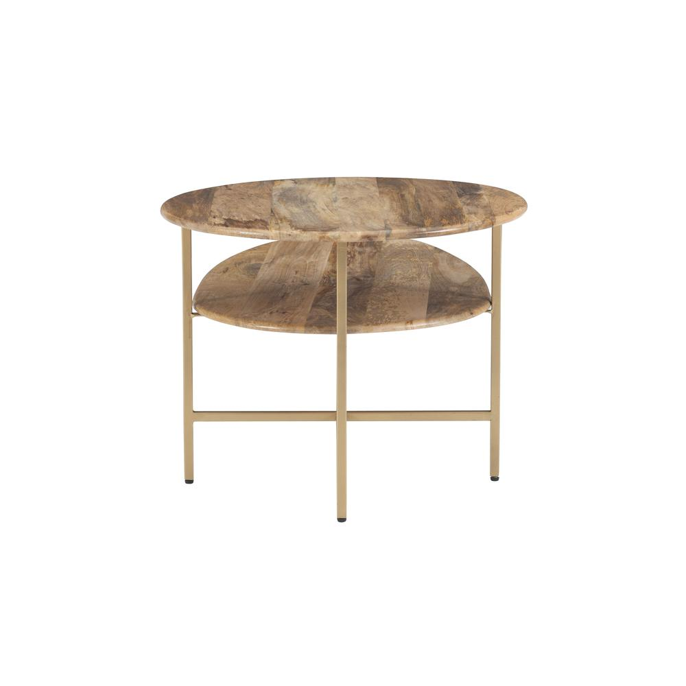 Start2Finish Tavin two-tiered coffee table in natural wood with gold metal frame, showcasing a modern furniture design.
