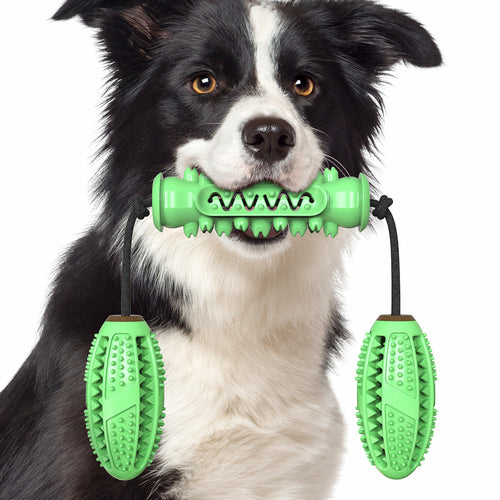 Maroon Asteria dog chew toy with rubber bones for teeth cleaning and dental health, designed for pet dogs.