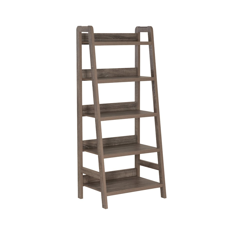 Start2Finish Tracey Ladder Bookcase with multiple shelves, wooden finish, and modern ladder design for stylish storage.