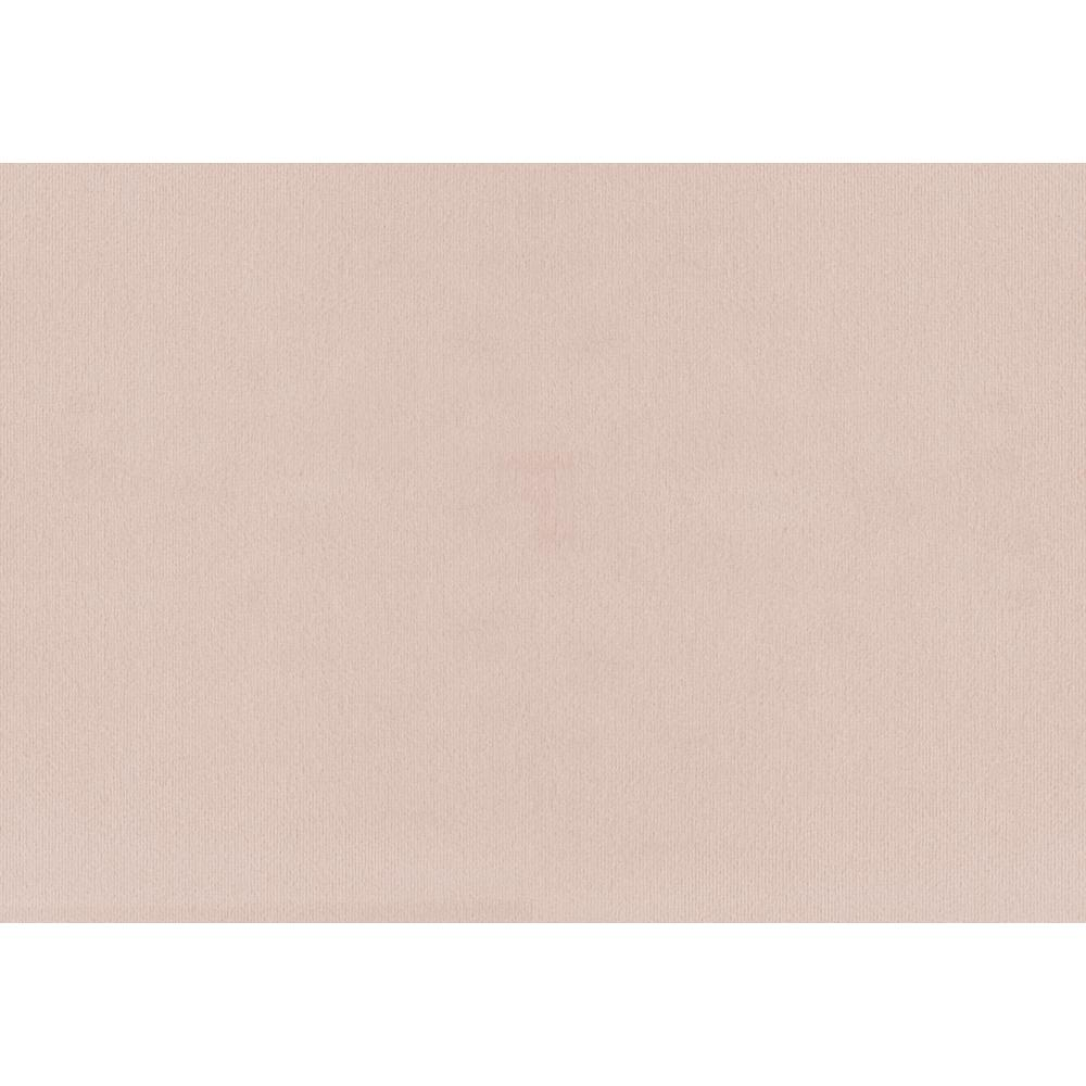 Pink velvet twin size upholstered bed frame with a transitional style, shown as a furniture piece without mattress or bedding.