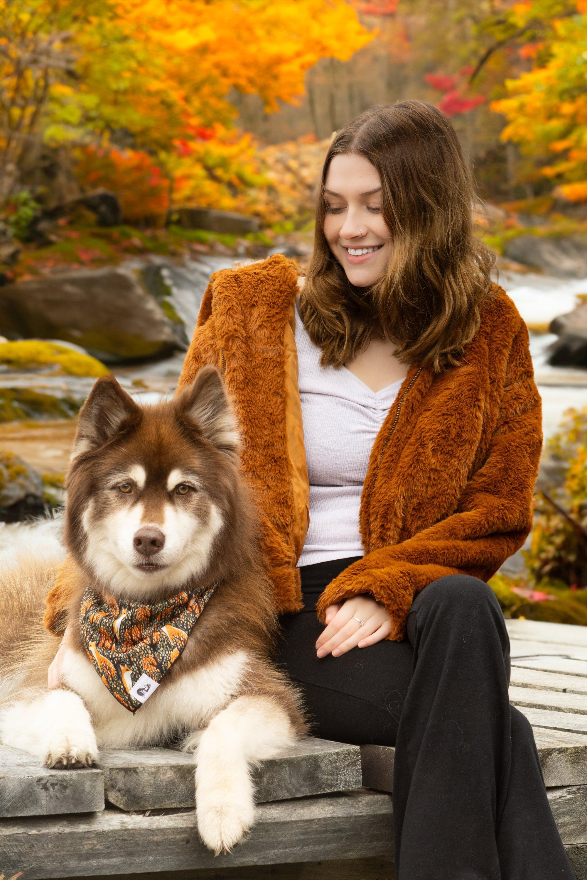 Pets wearing Burgundy Perses hooded faux fur jackets, cozy and stylish pet apparel with soft faux fur and hood design.