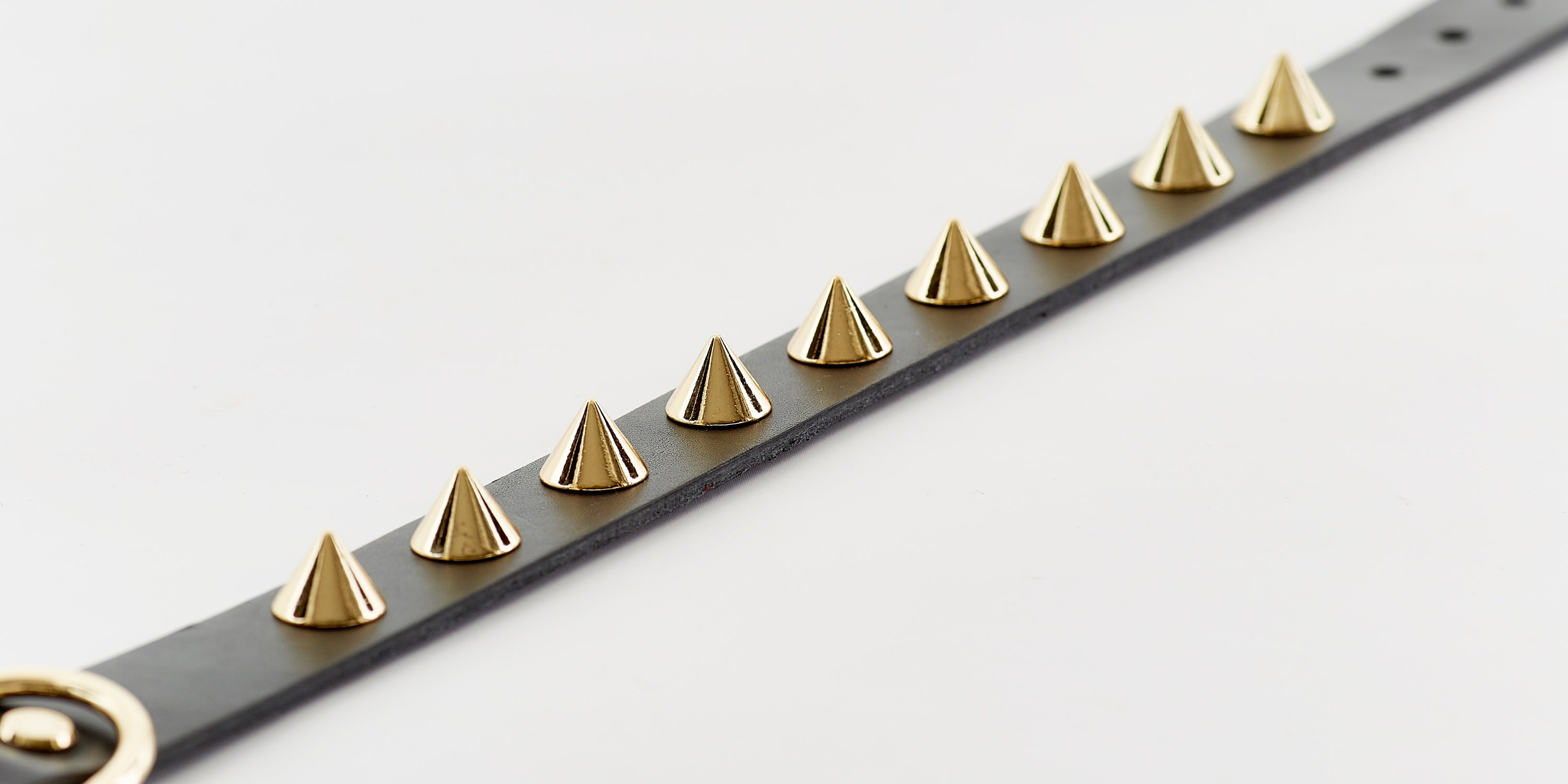 Golden Spike Black Collar for pets by Emerald Alfie, featuring a sleek black design with a golden spike accent.