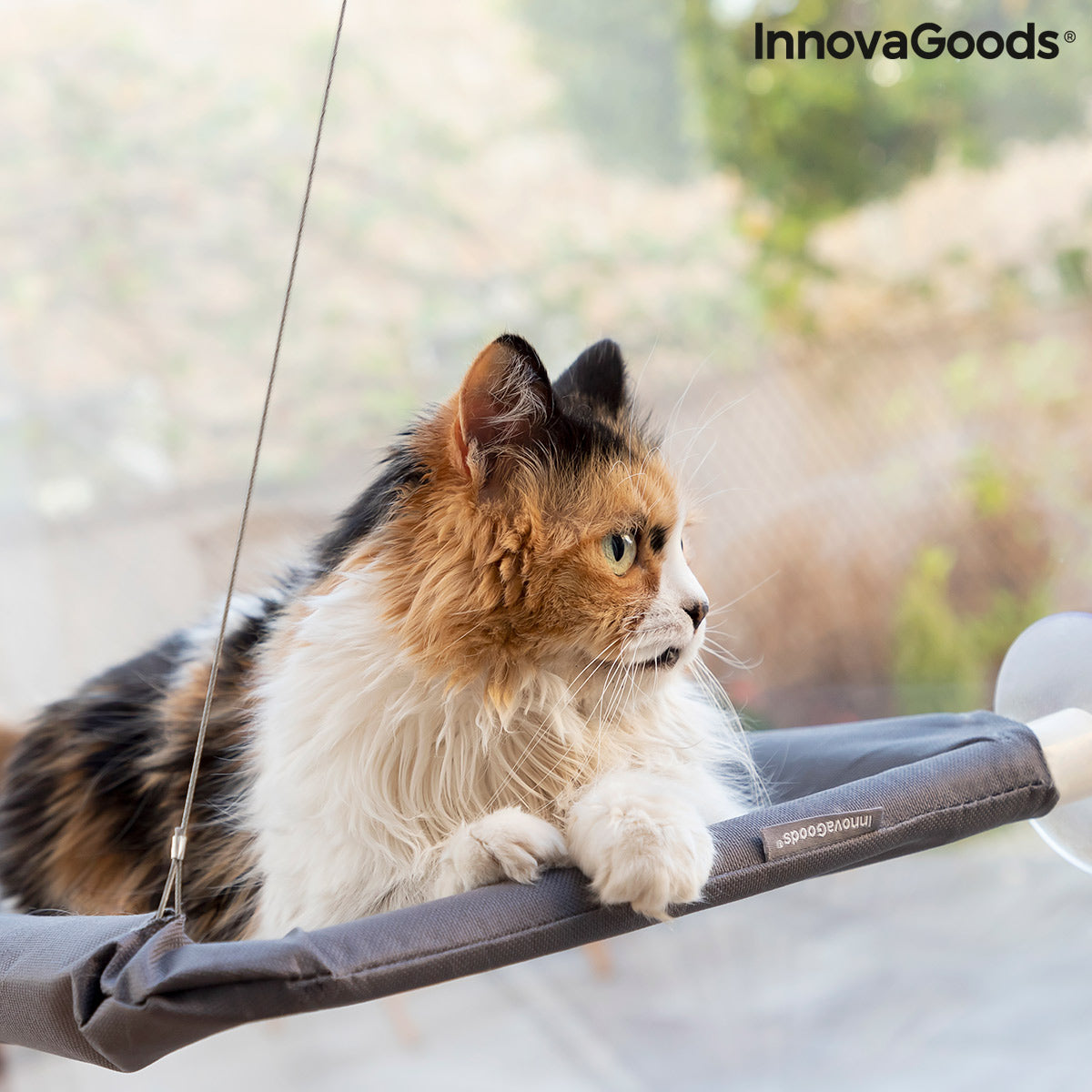 Hanging cat hammock by Bigbuy for pets, featuring soft fabric and sturdy attachment points for cozy feline lounging.