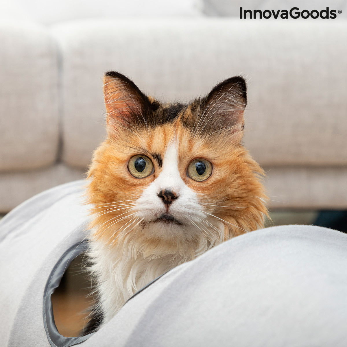 Collapsible pet tunnel by Funnyl InnovaGoods for cats and small dogs, lightweight and easy to fold, ideal for play and exercise.