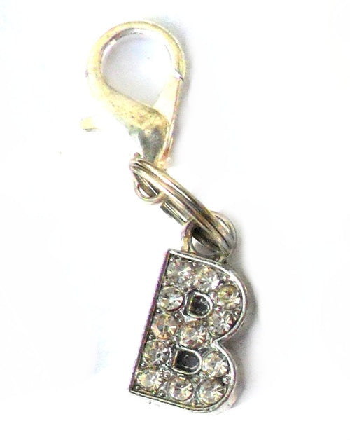 Salmon Oscar A-Z Crystal Letter Pet Charm attached to a colorful pet leash or collar, showcasing sparkling crystal letter detail.