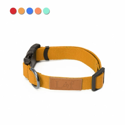 Emerald Alfie Lof pet collar with adjustable strap and metal buckle, suitable for cats or small dogs.