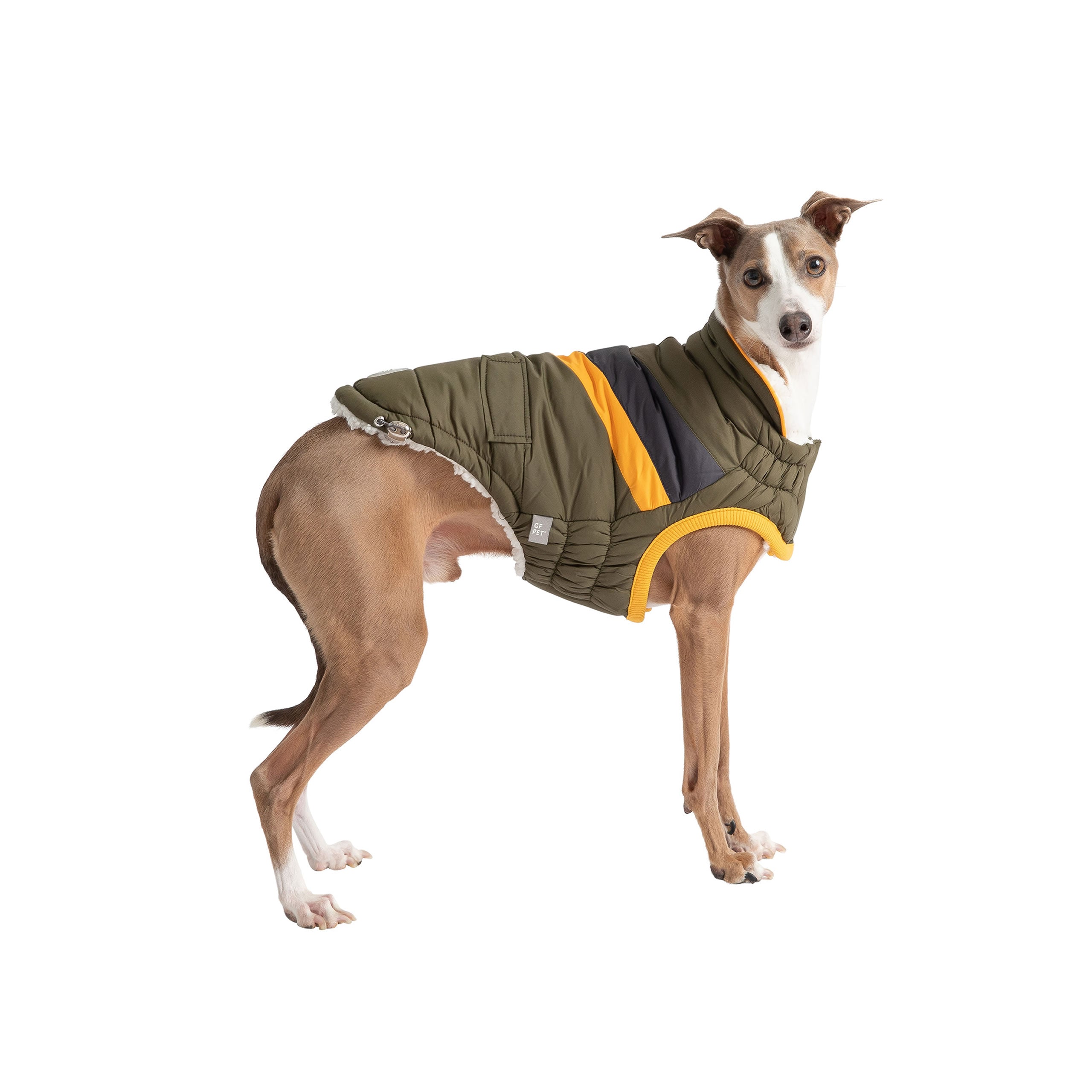 Beige Antigone Alpine Puffer dark khaki pet collar showing padded, durable design with adjustable strap and metal buckle.