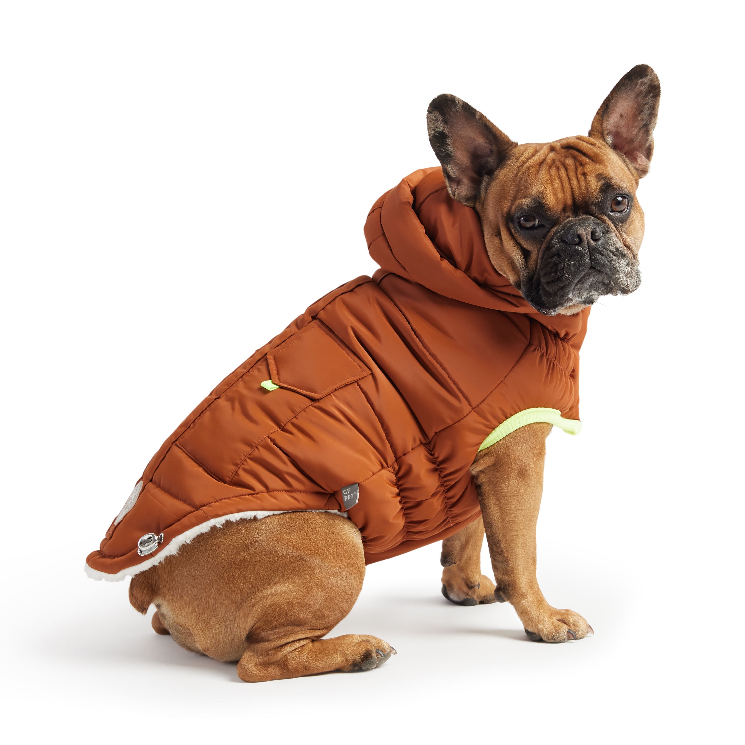 Beige Antigone The Puff Parka Hazel for pets, showing a cozy, padded pet coat in soft beige with a hood and stylish design.