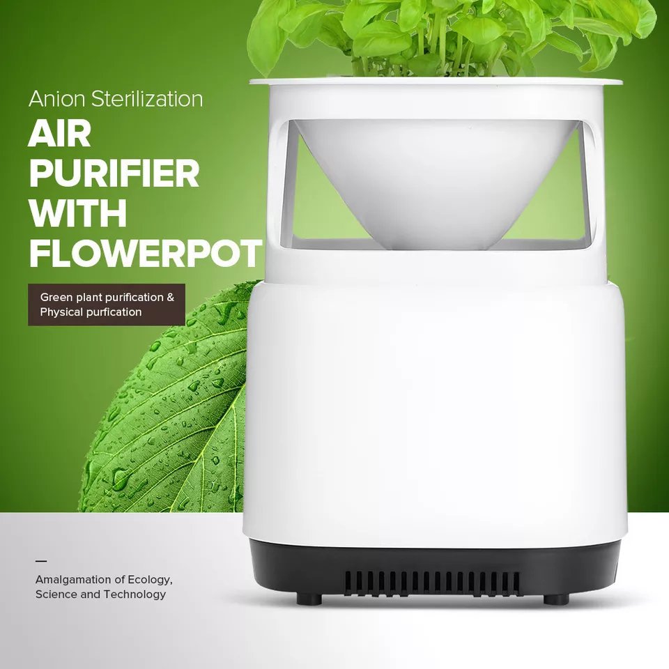 Fuchsia Molly air purifier and plant stand in a home setting, showcasing a sleek modern design with potted plants and air filtration features.