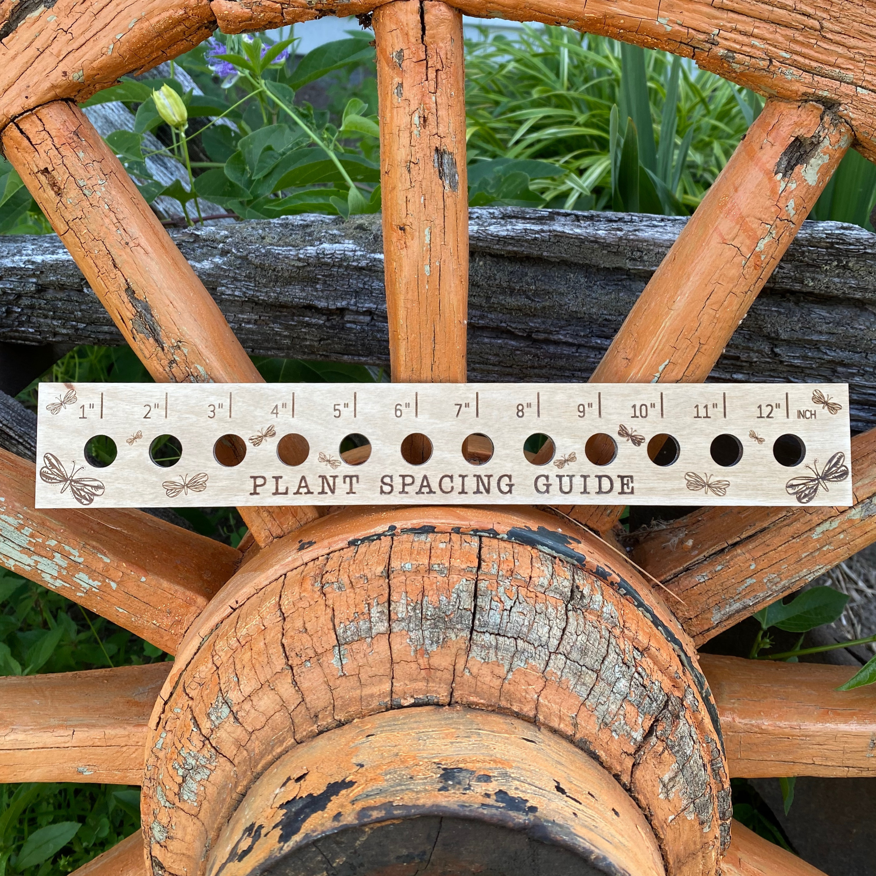 Cerise Almond butterfly garden seed spacing ruler with measurement marks for precise planting in a garden setting.