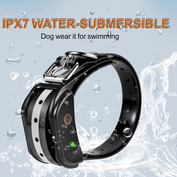 Teal Simba dog training electric collar with remote control, featuring three training modes for effective pet behavior management.