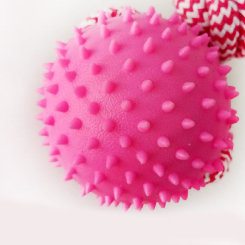 Fuchsia Molly rubber chew training dog toy with textured surface, durable for interactive play and dental health.