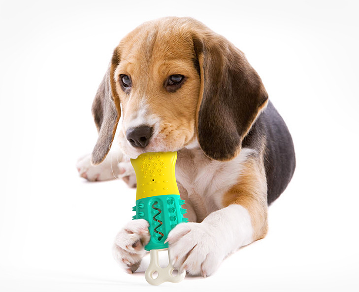 Maroon Asteria summer cooling pet teeth cleaning toy, designed for dogs to chew and help freshen breath.