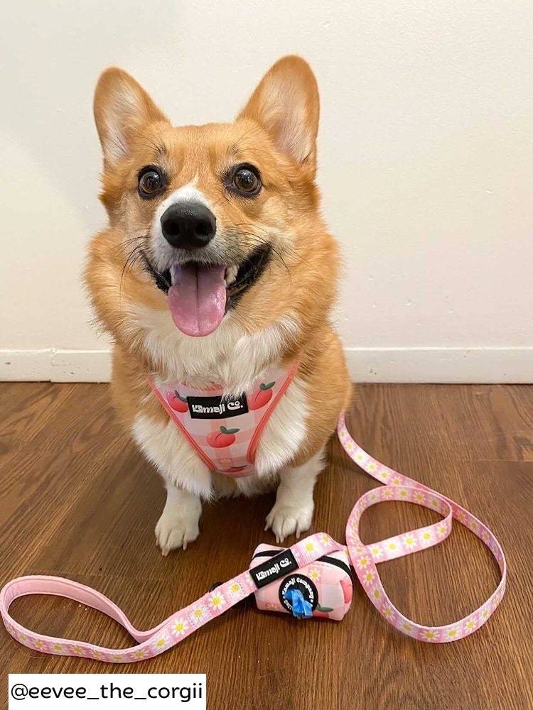 Lilac Hemera Precious Peach Collection adjustable pet harness on a pet, featuring soft peach-colored straps and secure buckle.