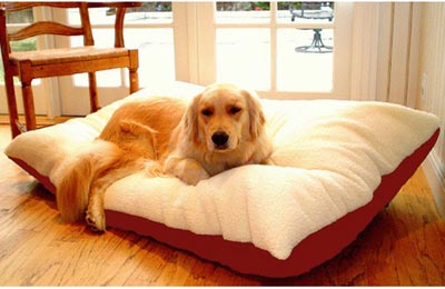 Large red rectangular pet bed by Rose Chloe, extra-large size ideal for dogs, with plush fabric and comfortable cushioning.