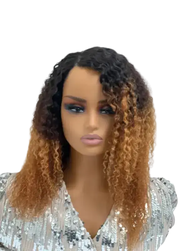 Ombre Afro wig with bold, beautiful human hair curls showcasing a vibrant color transition and voluminous hairstyle.