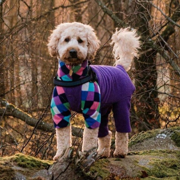 Waterproof dog fleece by Scarlet Nyx in harlequin and purple with a cozy, soft fleece fabric for pets.