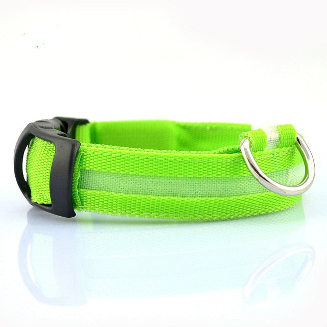 Yellow Pandora 2-piece nylon LED dog collar set with adjustable leashes and bright LED lights for visibility.