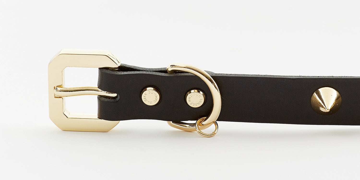 Emerald Alfie Golden Spike Black Collar for pets, featuring a sleek black design with gold spike accents.
