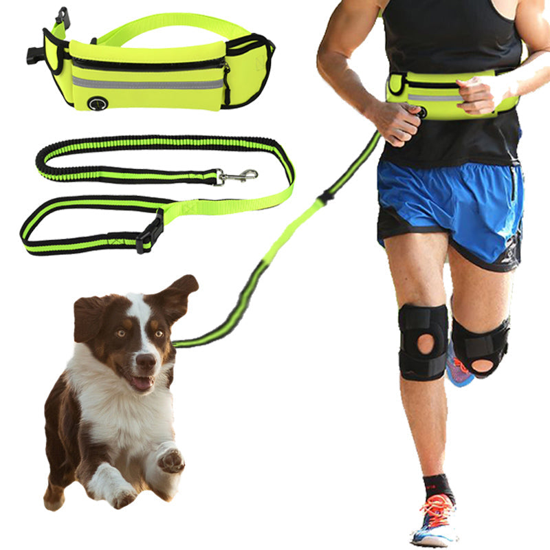 Maroon Asteria waterproof pet waist bag with reflective strap and sports traction rope, designed for outdoor walking and running.