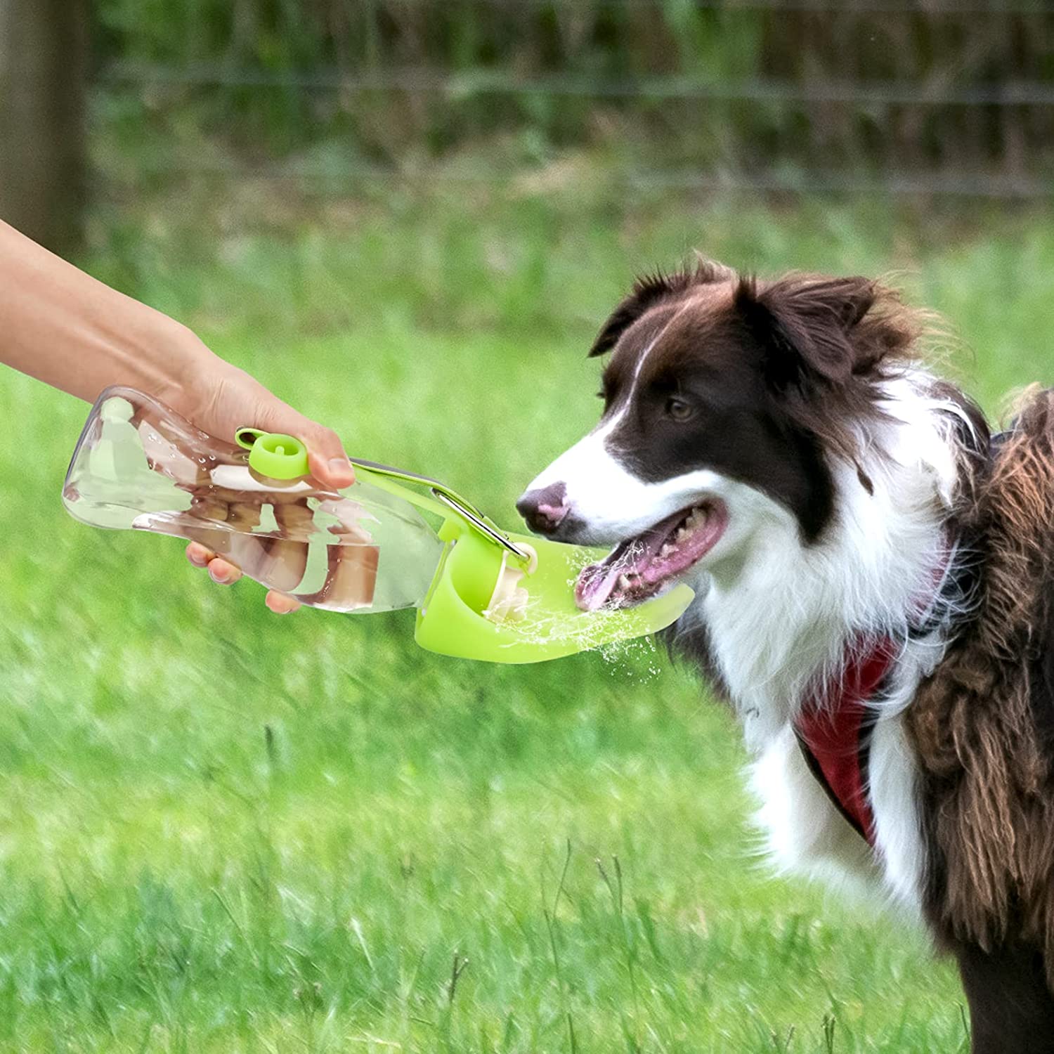 Maroon Asteria portable pet water dispenser and feeder, leak-proof design with water and food compartments for pets.