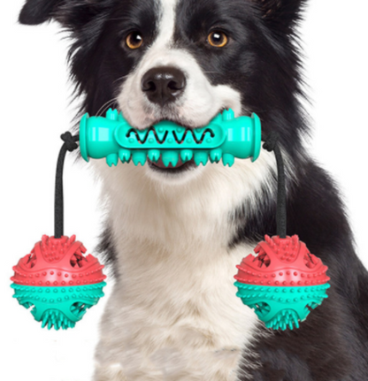 Maroon Asteria dog chew toys with rubber bones for teeth cleaning and dental health. Durable pet toys for dogs.