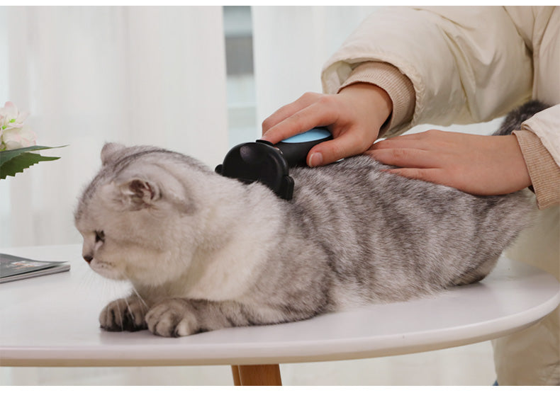 Maroon Asteria Cats Wool Pet Hair Deshedding Brush Set with comb for removing loose fur from cats in petcare.