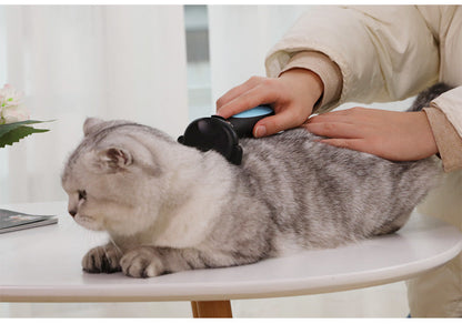 Maroon Asteria Cats Wool Pet Hair Deshedding Brush Set with comb for removing loose fur from cats in petcare.