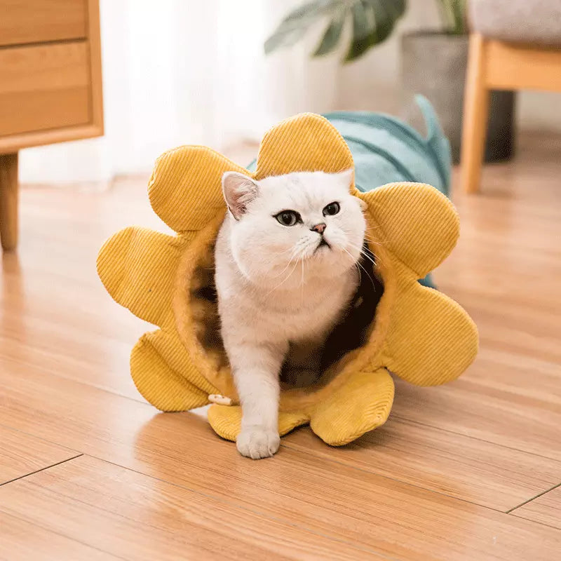 Maroon Asteria Creative Fruit Funny Pet Cat Tunnel Toy with colorful fabric and playful design for cats to explore and enjoy.