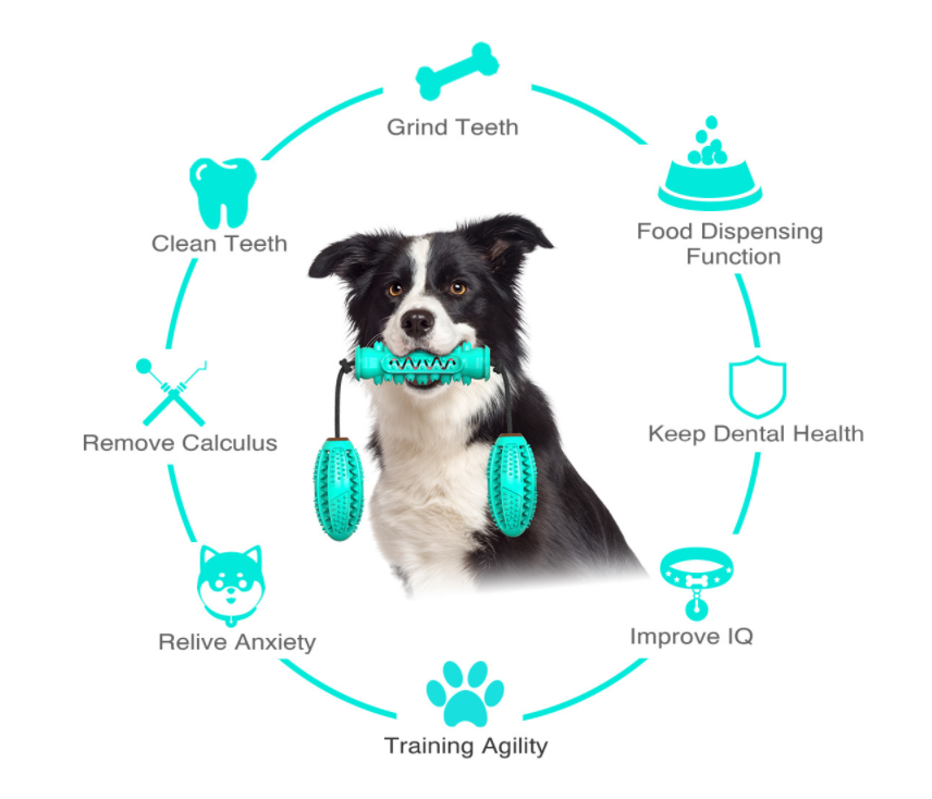 Maroon Asteria dog chew toy and rubber bone for teeth cleaning, featuring textured surfaces for dental health and playful chewing.