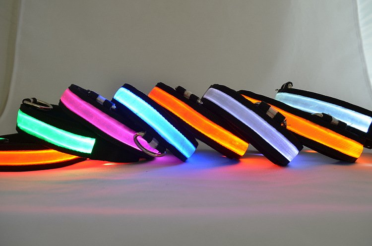 Fuchsia Molly LED light-up dog collar with adjustable strap and bright illumination for nighttime visibility.