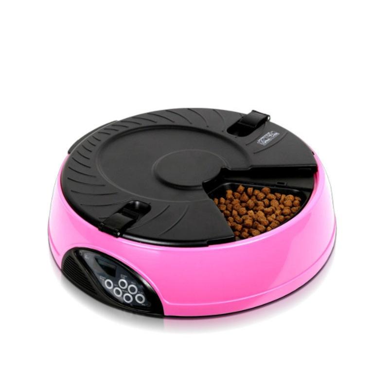 Maroon Asteria pet automatic feeding machine for pets, showing food dispenser and control panel in a clean, modern design.