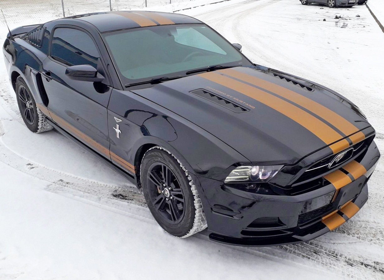 Start2Finish black two-line racing stripes car stickers on vehicle body, rally SRT GT auto vinyl decals for trucks and sports cars.