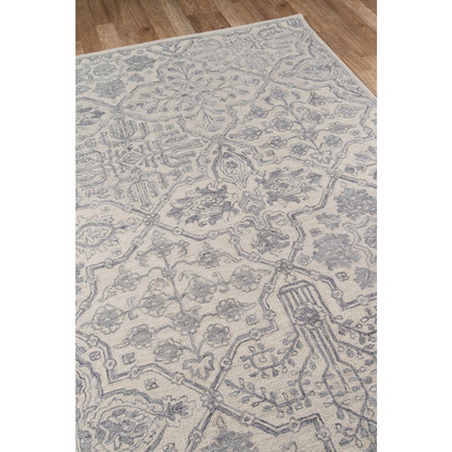 Grey traditional rectangle area rug from Start2Finish, 5x8 feet, featuring classic design and plush texture.