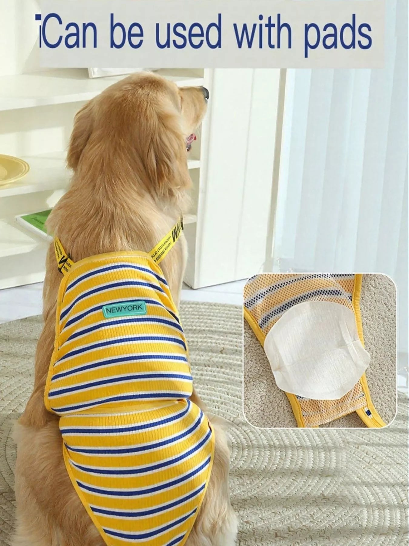 Striped physiological pet functional clothing by Pear Daisy, designed for comfort and health, shown on a small dog in a home setting.