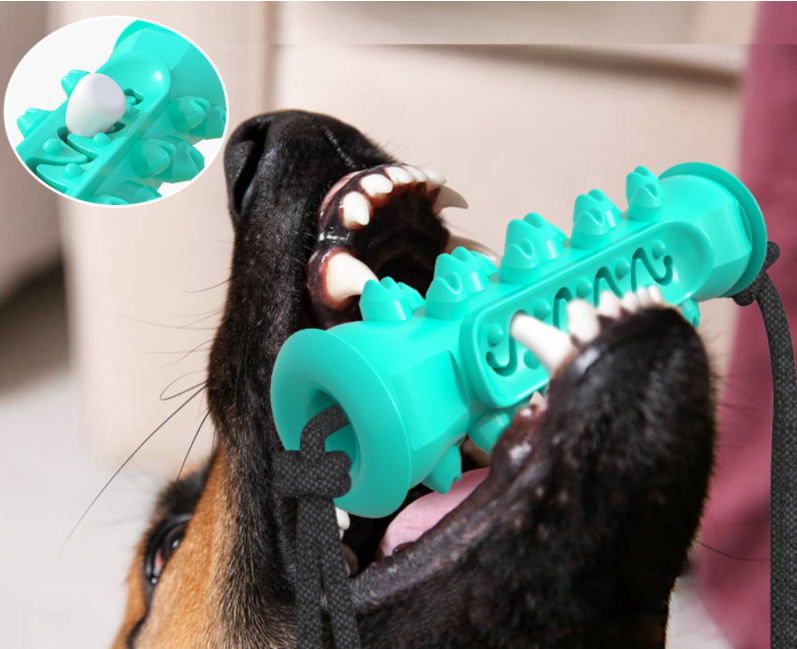 Maroon Asteria dog chew toy with rubber bones designed for teeth cleaning and dental health for pets.
