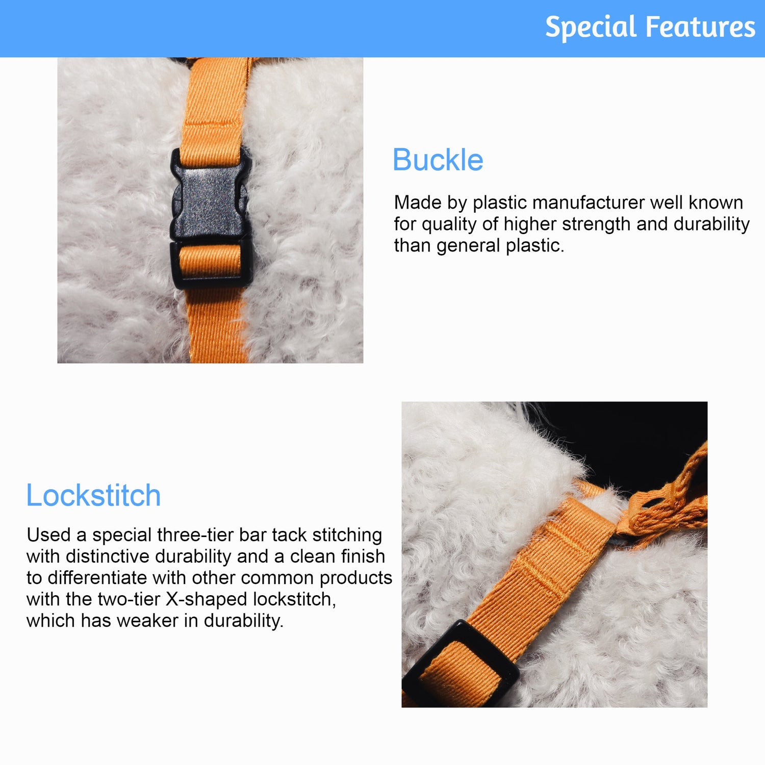 Emerald Alfie Lof Collar for pets, shown on a small dog, featuring a stylish design with a buckle and decorative elements.