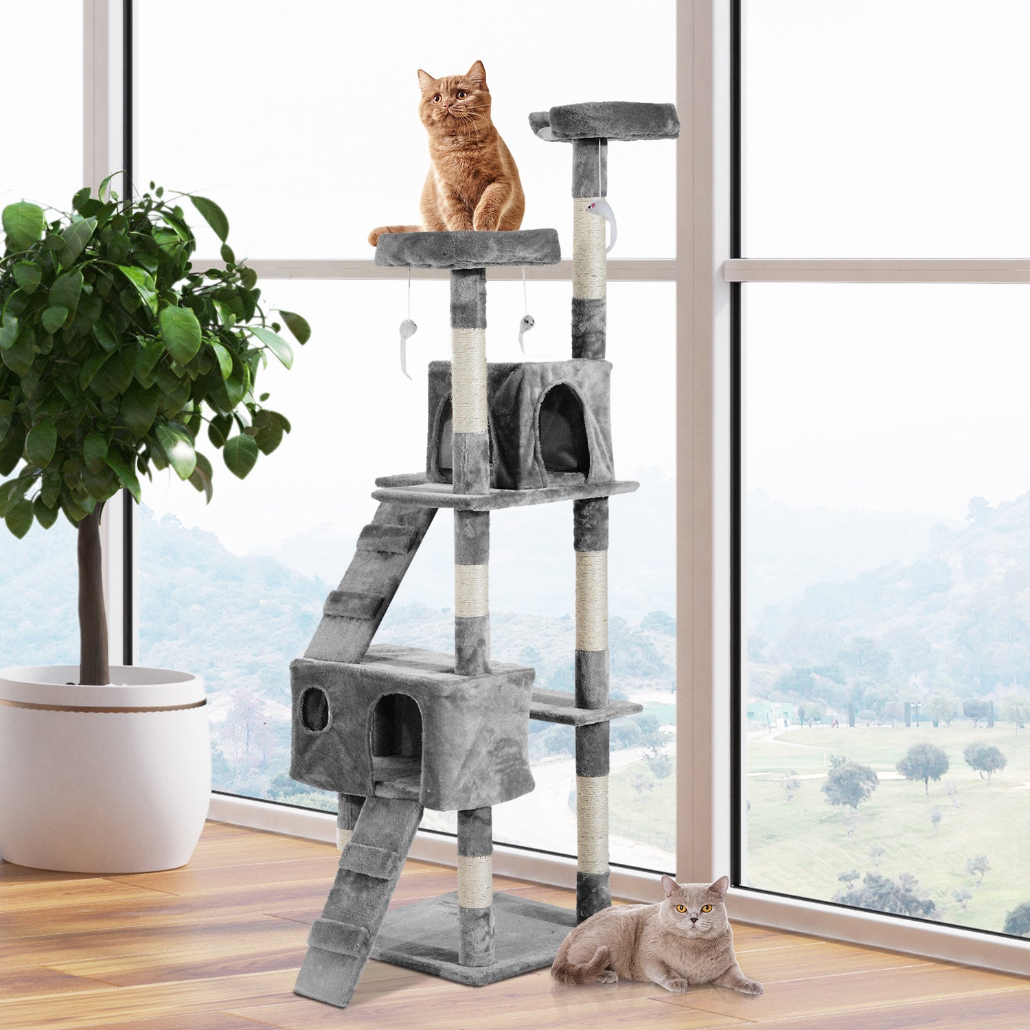 Taupe Shadow PawHut 67-inch multi-level cat scratching tree with platforms, sisal posts, and cozy resting spots for feline play and activity.