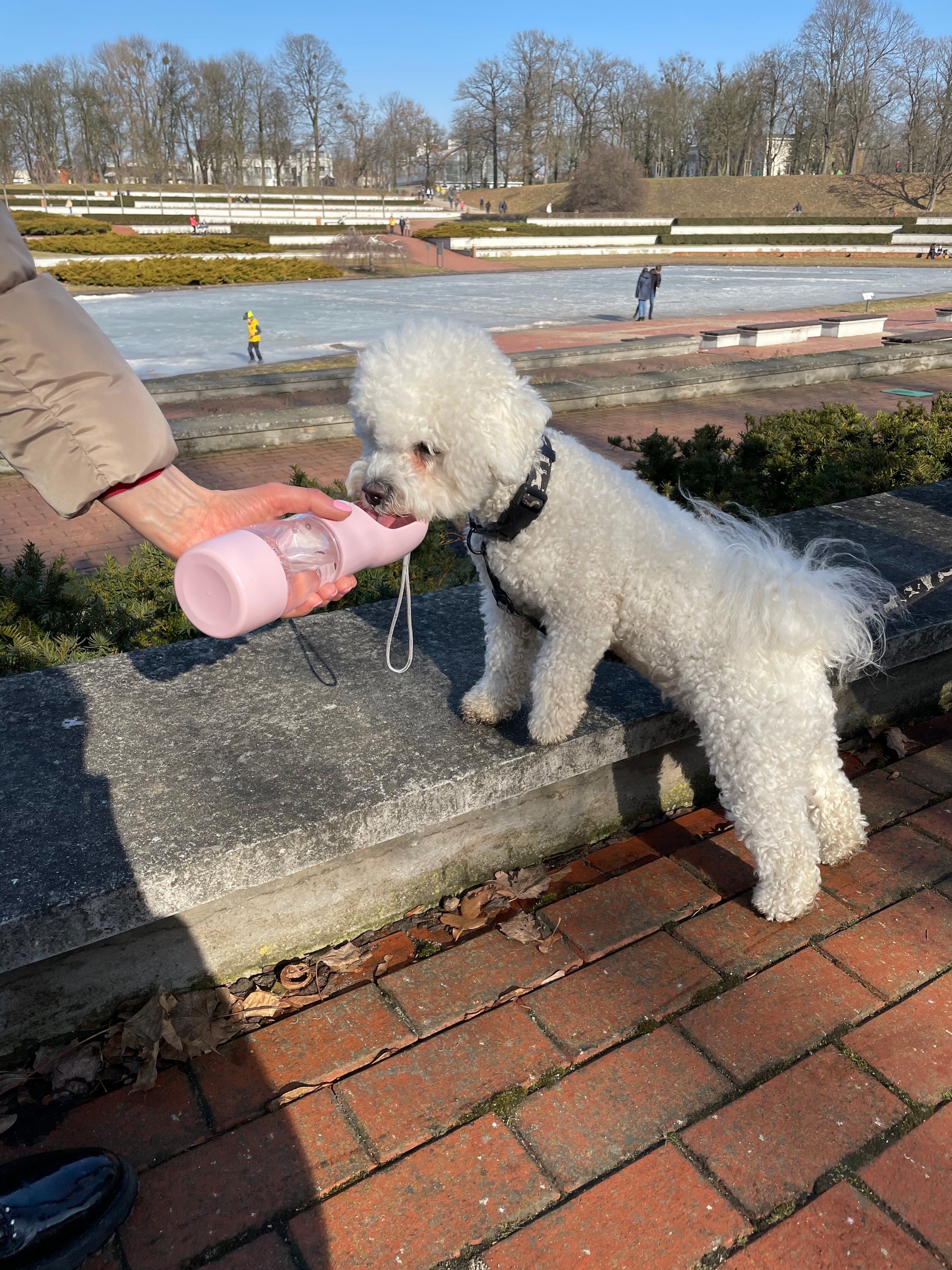 Teal Winterberry portable pet food and water bottle for pets, compact design with a built-in bowl for on-the-go feeding and hydration.