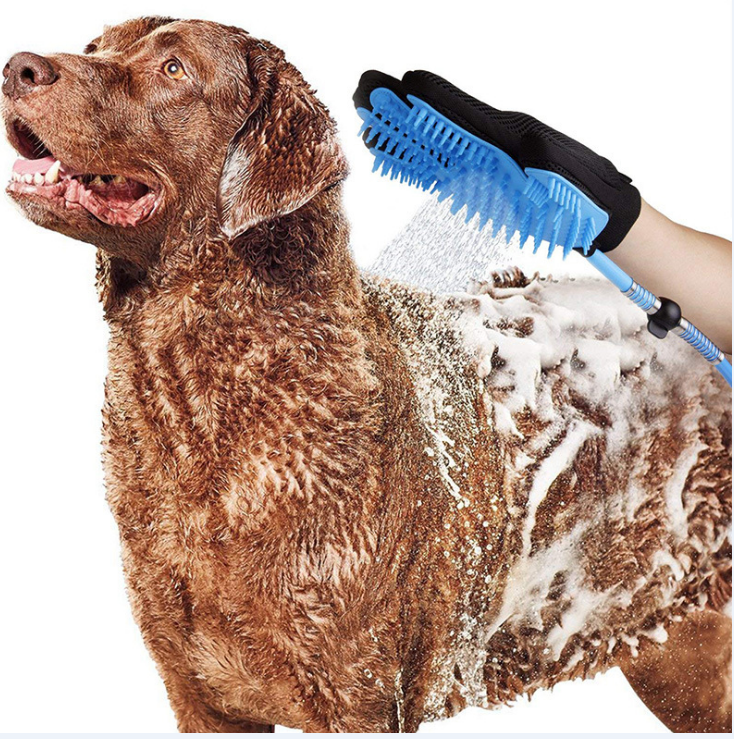 Maroon Asteria handheld pet shower head for dogs and cats, with adjustable water spray for easy bathing and grooming.