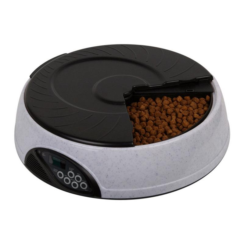 Maroon Asteria pet automatic feeding machine for dogs and cats, with digital timer and food dispenser system.