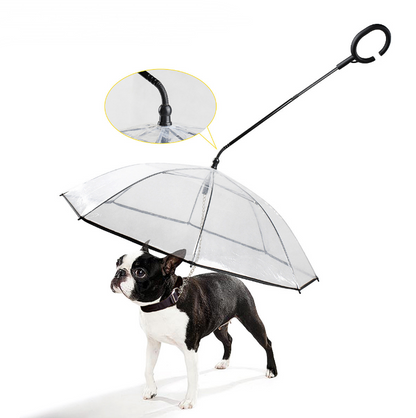 Transparent adjustable pet umbrella from Maroon Asteria, designed to keep pets dry during outdoor walks.
