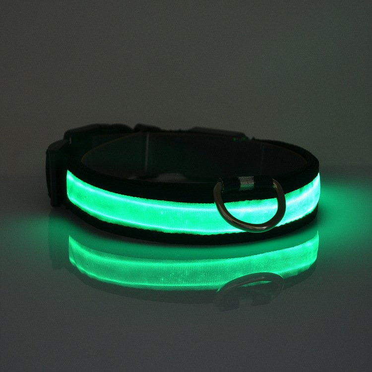 Fuchsia Molly LED light-up dog collar with adjustable strap and bright illumination for nighttime visibility.
