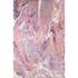 Start2Finish Kikiamo KK6 Primrose 8x10 rug with intricate floral pattern and soft pastel colors on a wooden floor.