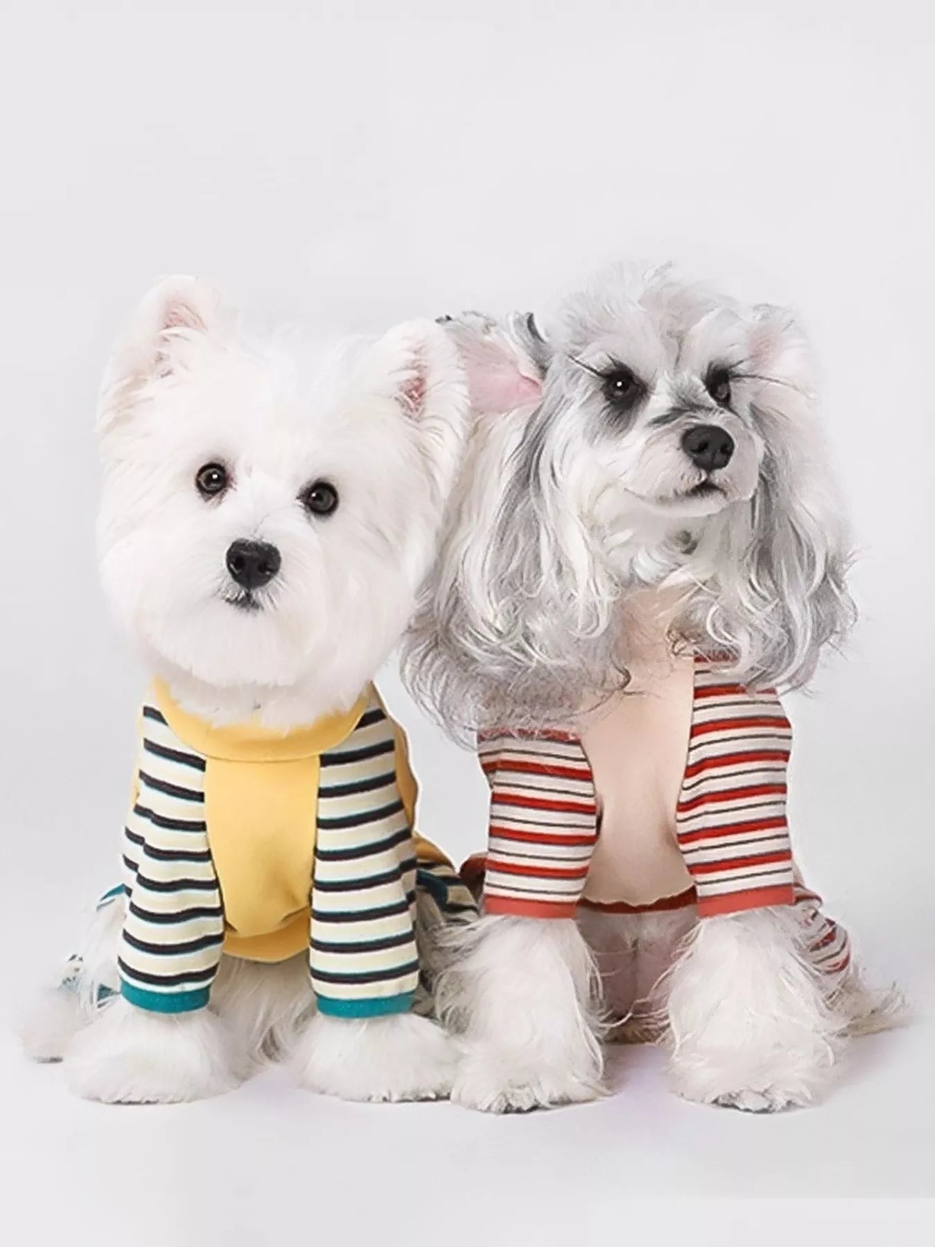 Striped comfortable pet jumpsuit by Pear Daisy, featuring soft fabric and cozy fit for pets, ideal for home and casual wear.