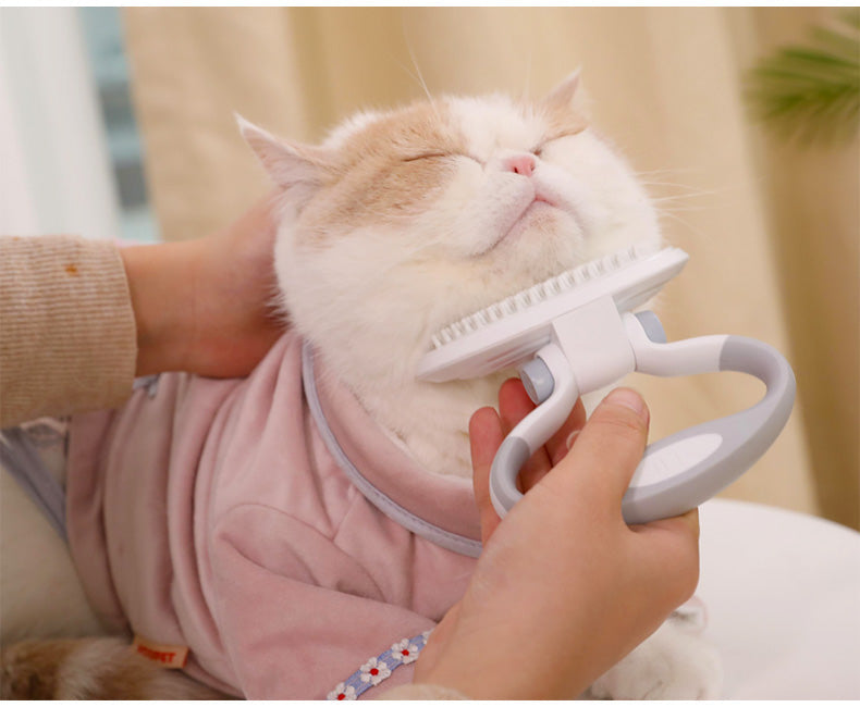 Maroon Asteria Cats Wool Pet Hair Deshedding Brush Set with comb for effective pet hair removal and grooming.