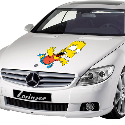 Start2Finish custom car door vinyl sticker featuring a sporty body decor logo graphic bumper art decal on vehicle door
