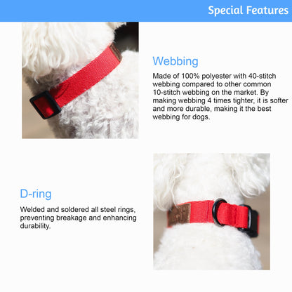 Emerald Alfie pet Lof Collar with adjustable strap and stylish design, suitable for dogs or cats.