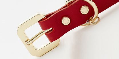 Emerald Alfie Golden Spike Red Collar for pets, close-up of stylish pet collar with red and gold details.